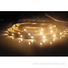 High Lumens 12V White SMD5630 LED Strip Light